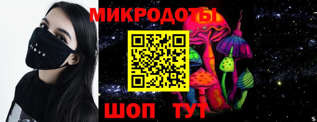 Псилоцибиновые грибы Cubensis Медногорск